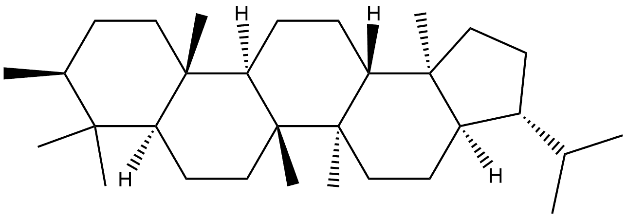 3β,17α(H),21(H)-3-Methylhopane Struktur