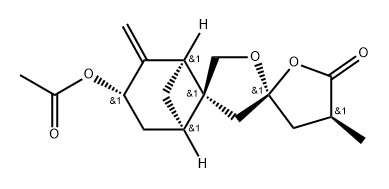 EXPANSOLIDEA Struktur