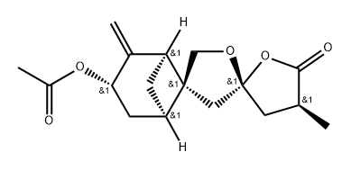 EXPANSOLIDEB Struktur