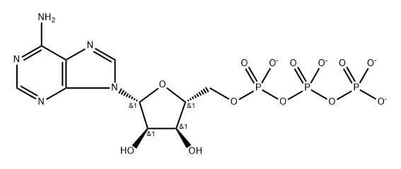 Adenosine 5'-(tetrahydrogen triphosphate), ion(4-) Struktur