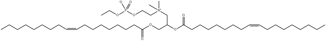 DOCPE Struktur