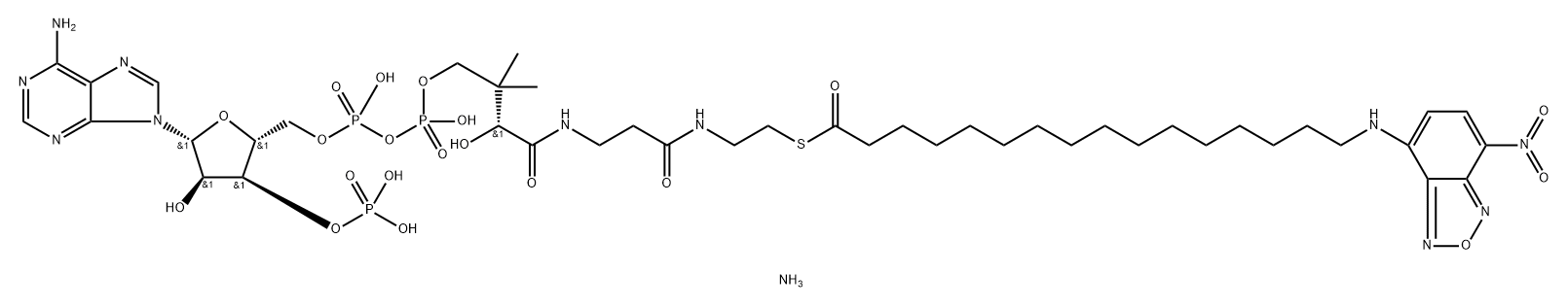 16-NBD-16:0 Coenzyme A Struktur