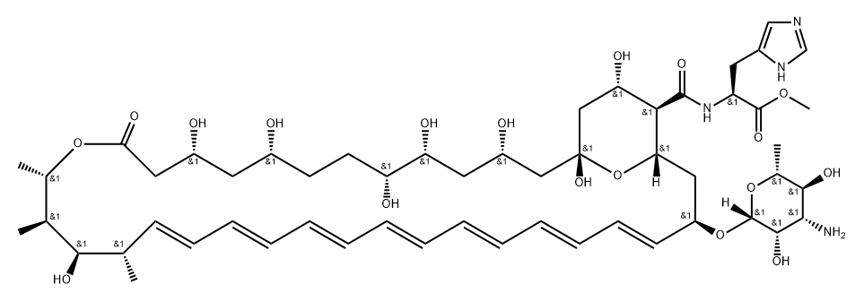 Amphotericin A21 Struktur