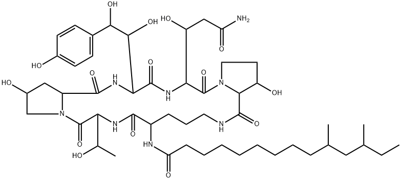 Pneumocandin B2 Struktur