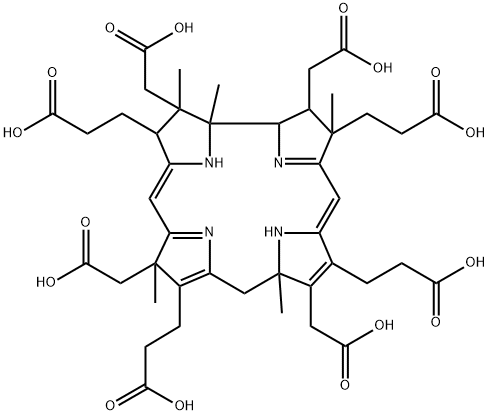 precorrin 6y Struktur