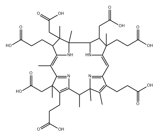 precorrin 8x Struktur