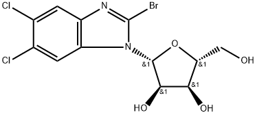 BDCRB

(GW 275175) Struktur