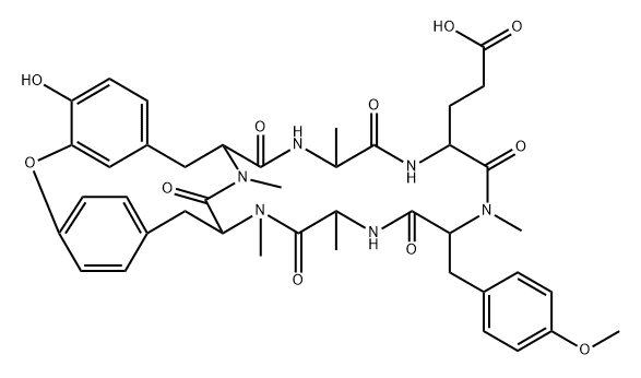 RA-XI Struktur