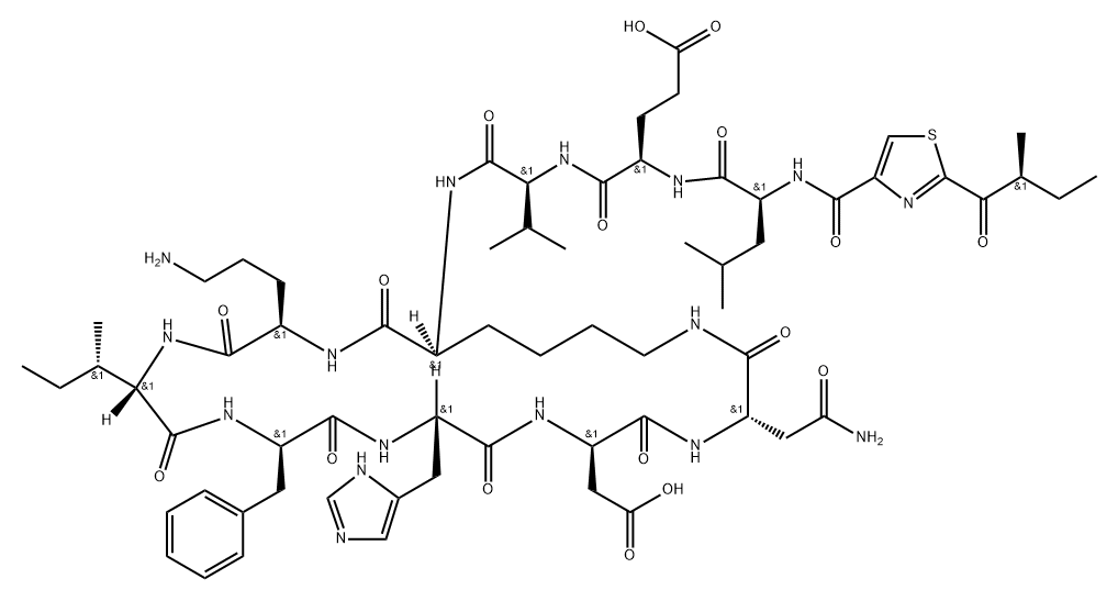 L-Asparagine, N-[[2-[(2S)-2-methyl-1-oxobutyl]-4-thiazolyl]carbonyl]-L-leucyl-D-α-glutamyl-L-valyl-L-lysyl-D-ornithyl-L-isoleucyl-D-phenylalanyl-L-histidyl-D-α-aspartyl-, (10→4)-lactam Struktur