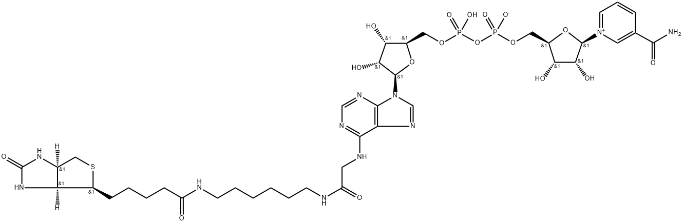 Biotin-NAD+ Struktur