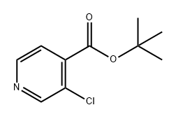 tert-butyl 3-chloropyridine-4-carboxylate Struktur