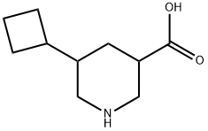 5-cyclobutylpiperidine-3-carboxylicacid Struktur