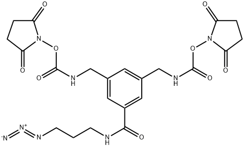 NNP9 Struktur