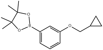 2-(3-(cyclopropylmethoxy)phenyl)-4,4,5,5-tetramethyl-1,3,2-dioxaborolane Struktur