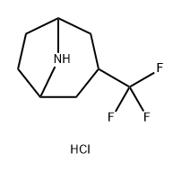 8-Azabicyclo[3.2.1]octane, 3-(trifluoromethyl)-, hydrochloride (1:1) Struktur