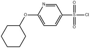 6-(cyclohexyloxy)pyridine-3-sulfonylchloride Struktur