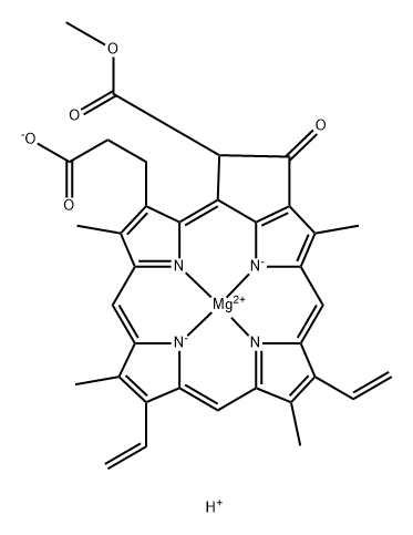 2,4-divinylprotochlorophyllide Struktur