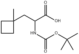 Cyclobutanepropanoic acid, α-[[(1,1-dimethylethoxy)carbonyl]amino]-1-methyl- Struktur