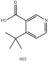 4-tert-butylpyridine-3-carboxylic acid hydrochloride Struktur