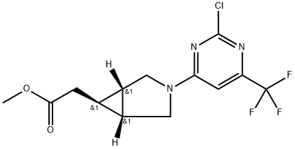 INDEX NAME NOT YET ASSIGNED Struktur