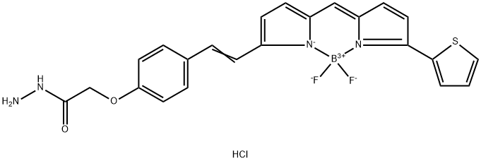 BDP 630/650 酰肼, 2183473-43-8, 結(jié)構(gòu)式