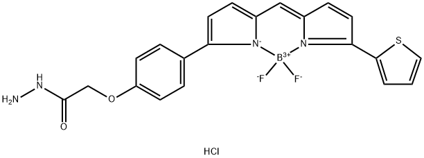 BDP TR HYDRAZIDE, 2183473-49-4, 結(jié)構(gòu)式