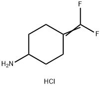 4-(Difluoromethylene)cyclohexan-1-amine hydrochloride Struktur