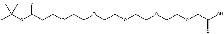 HOOCCH2O-PEG4-CH2CH2COOtBu Struktur