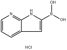 {1H‐pyrrolo[2,3‐b]pyridin‐2‐yl}boronic acid  hydrochloride Struktur