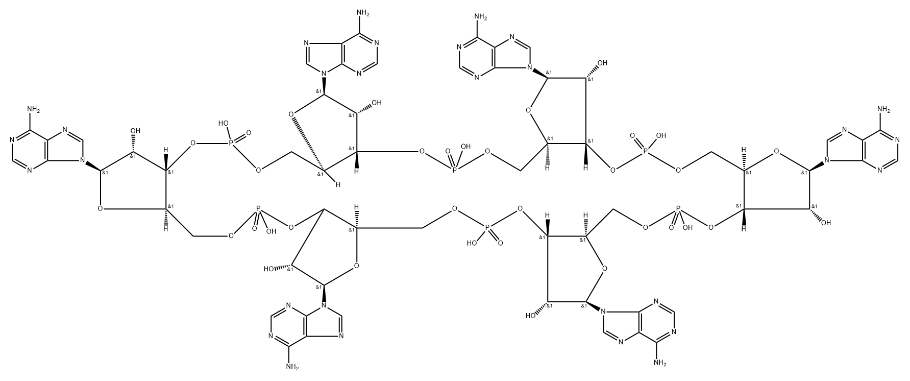 3'-Adenylic acid, adenylyl-(3'→5')-adenylyl-(3'→5')-adenylyl-(3'→5')-adenylyl-(3'→5')-adenylyl-(3'→5')-, cyclic nucleotide (9CI) Struktur