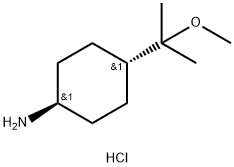 Cyclohexanamine, 4-(1-methoxy-1-methylethyl)-, hydrochloride (1:1), trans- Struktur