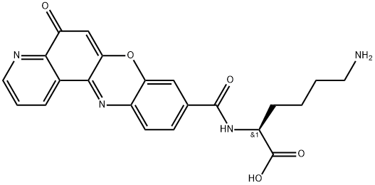 INDEX NAME NOT YET ASSIGNED Structure