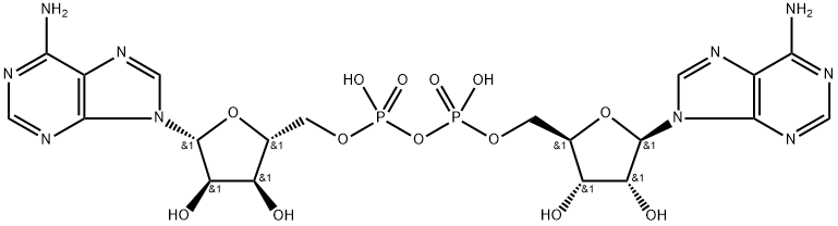 adenosine monophosphate-adenosine Struktur