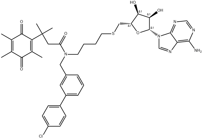 INDEX NAME NOT YET ASSIGNED Struktur