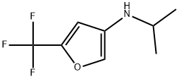 N-isopropyl-5-(trifluoromethyl)furan-3-amine Struktur