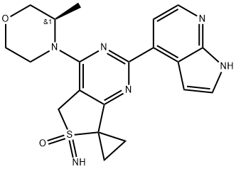 INDEX NAME NOT YET ASSIGNED Struktur