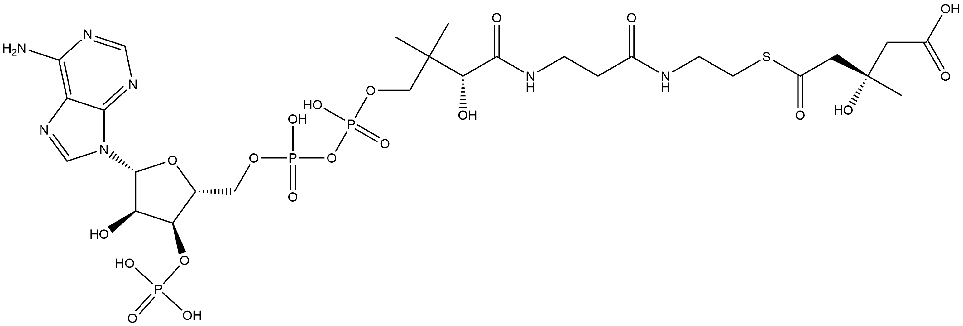 Coenzyme A, S-[hydrogen (3S)-3-hydroxy-3-methylpentanedioate] Struktur