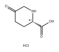 2-Piperidinecarboxylic acid, 5-oxo-, hydrochloride (1:1), (2S)- Struktur