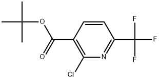 tert-butyl 2-chloro-6-(trifluoromethyl)nicotinate Struktur