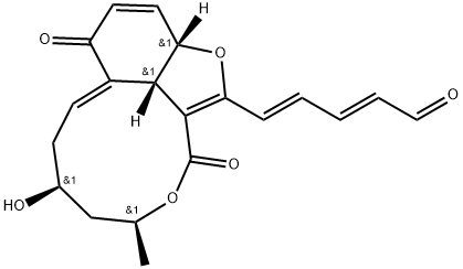  化學構(gòu)造式