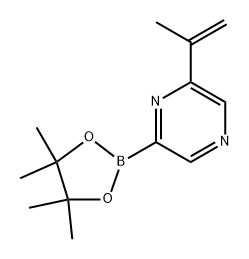 2-(prop-1-en-2-yl)-6-(4,4,5,5-tetramethyl-1,3,2-dioxaborolan-2-yl)pyrazine Struktur