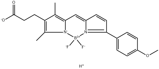 BDP TMR CARBOXYLIC ACID, 287384-28-5, 結(jié)構(gòu)式