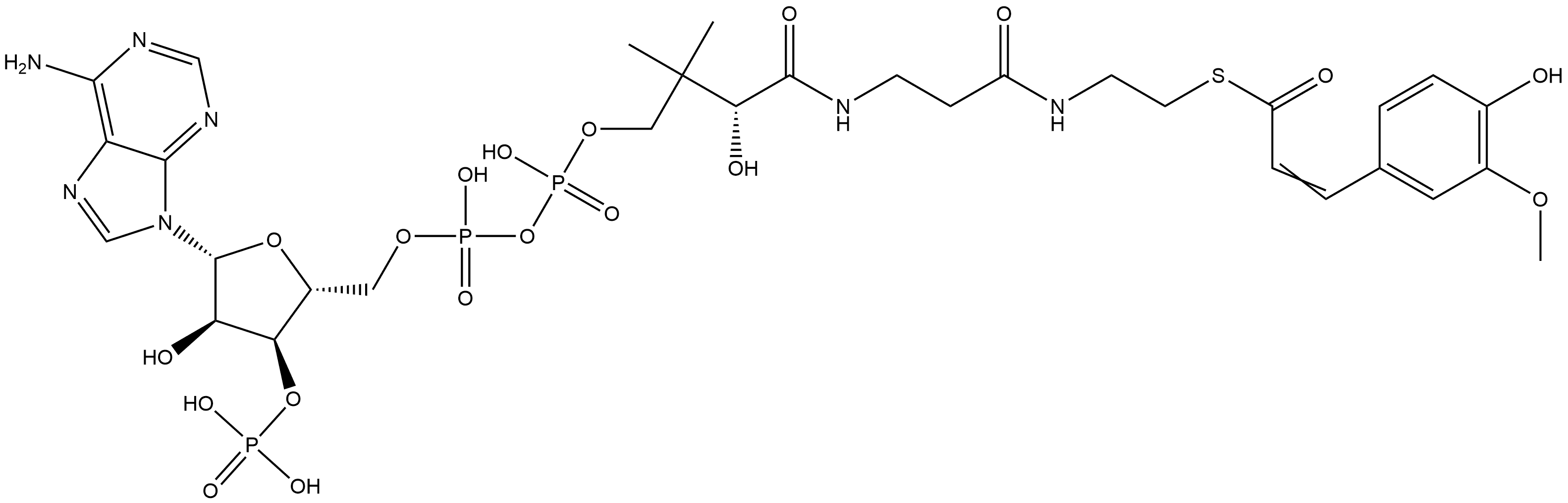 Coenzyme A, S-[3-(4-hydroxy-3-methoxyphenyl)-2-propenoate] Struktur