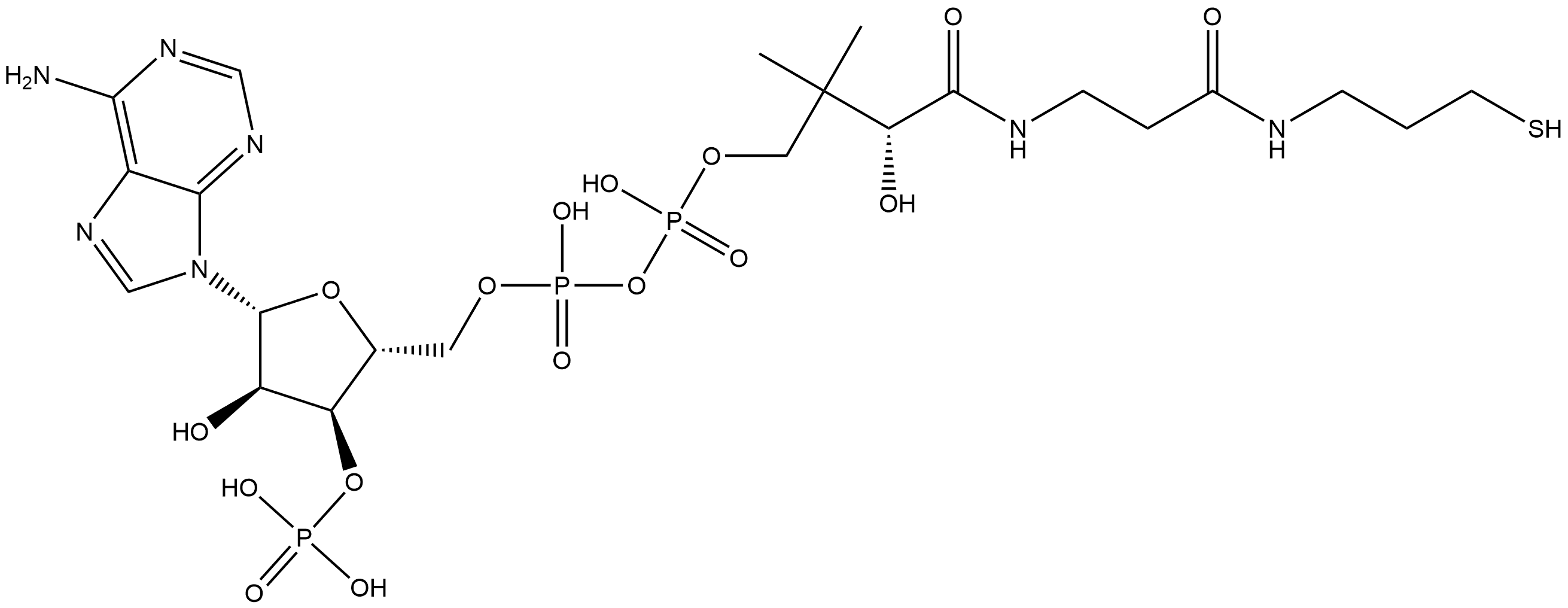 Adenosine 5'-(trihydrogen diphosphate), 3'-(dihydrogen phosphate), P'-[(3R)-3-hydroxy-4-oxo-4-[[3-oxo-3-[(3-mercaptopropyl)amino]propyl]amino]-2,2-dimethylbutyl] ester (9CI) Struktur