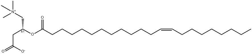 1-Propanaminium, 3-carboxy-N,N,N-trimethyl-2-[(1-oxo-13-docosenyl)oxy]-, inner salt, [R-(Z)]- (9CI) Struktur