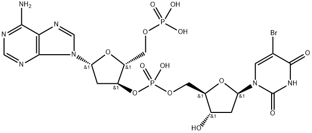 poly (dA-BrdU) Struktur