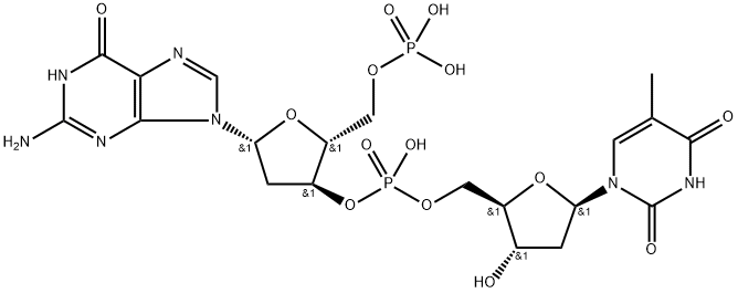 polydeoxy(guanine-thymine) nucleotide Struktur