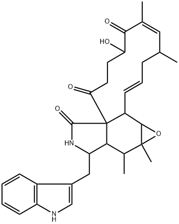 CHAETOGLOBOSINF Struktur