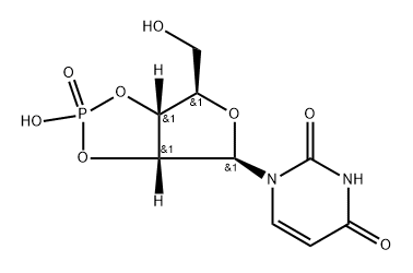 2',3'-cyclic UMP