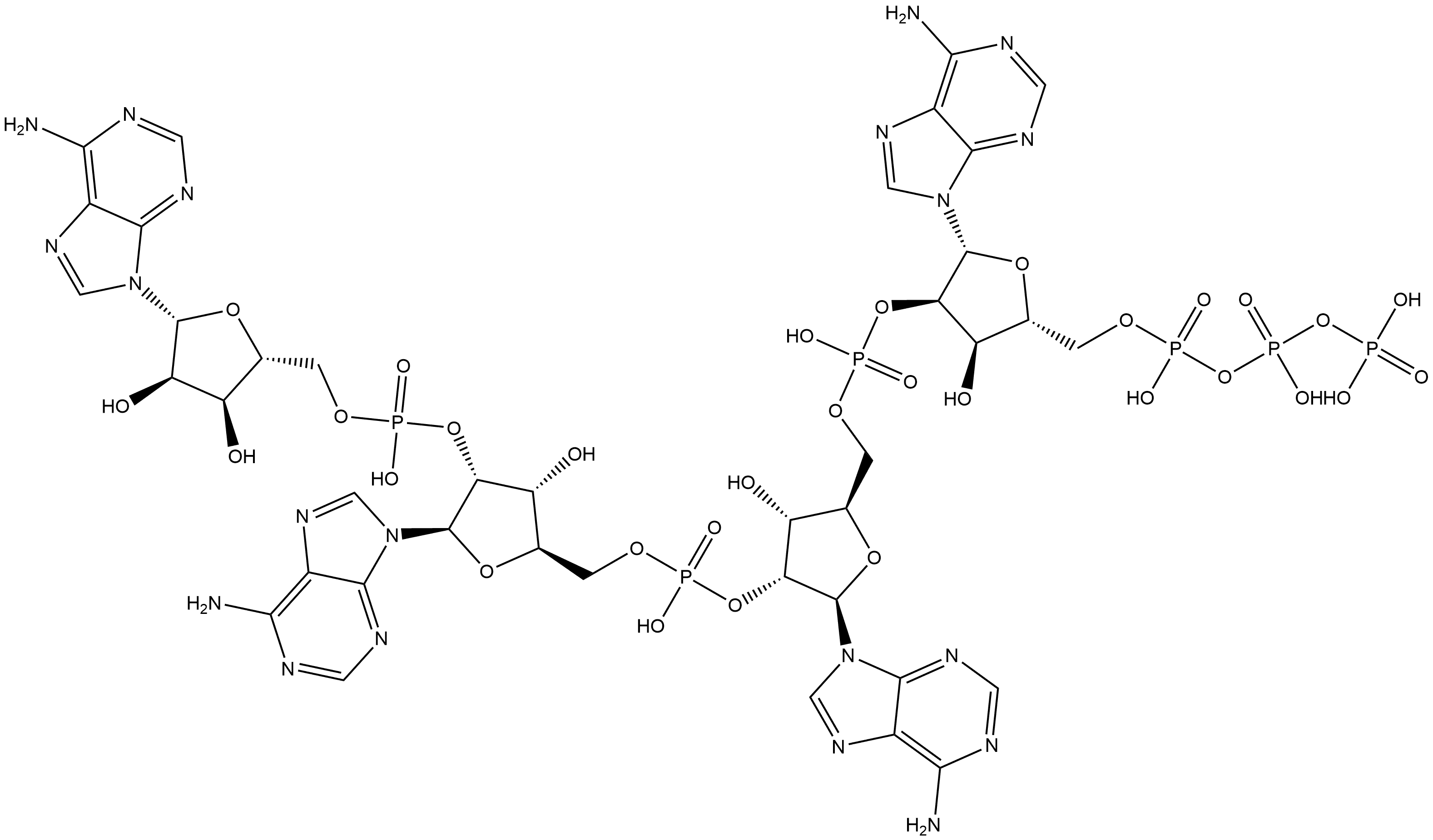 Adenosine, 5'-O-[hydroxy[[hydroxy(phosphonooxy)phosphinyl]oxy]phosphinyl]adenylyl-(2'→5')-adenylyl-(2'→5')-adenylyl-(2'→5')- Struktur